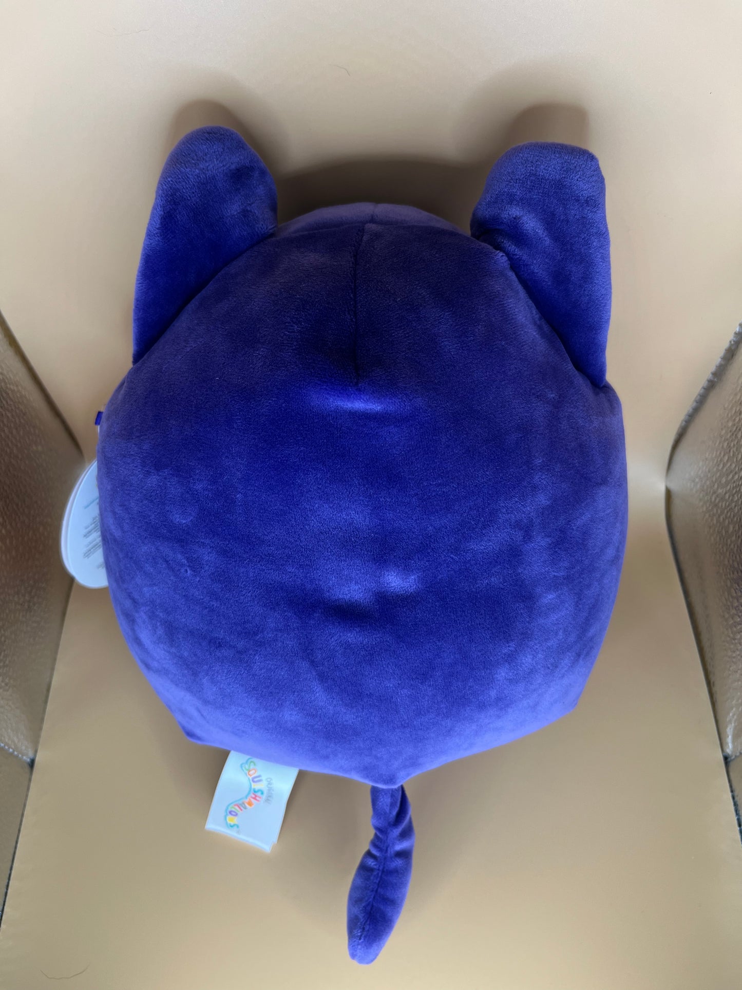 Squishmallows - Zazzie the Cat - 8”