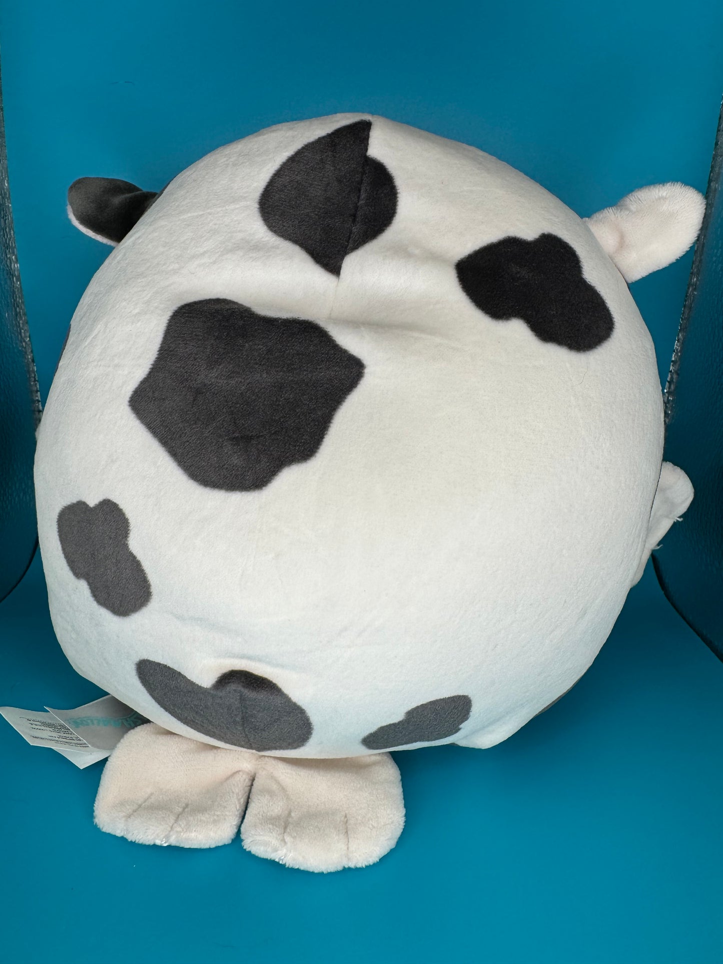 Squishmallows - Kona the Sea Cow - 8"