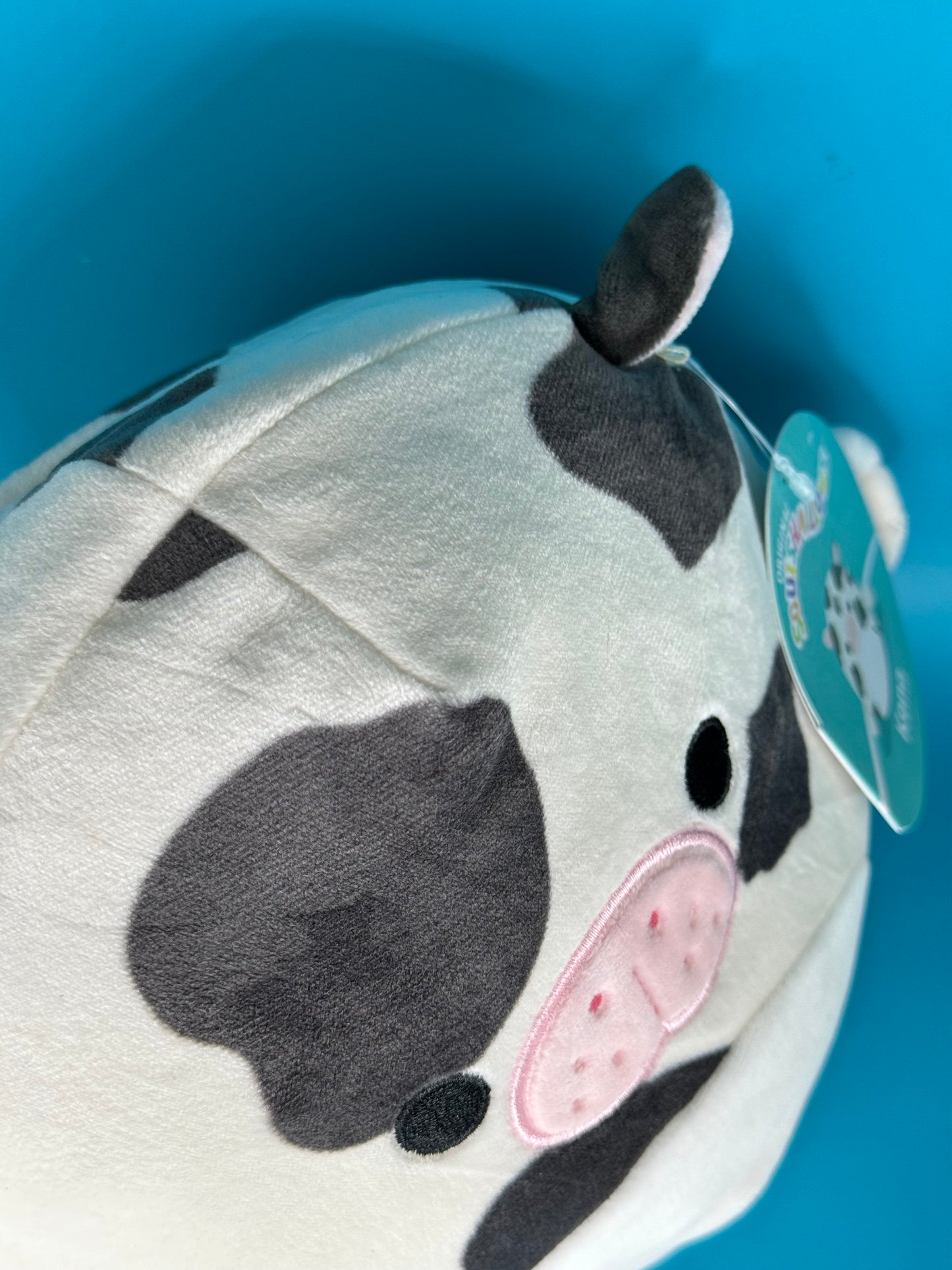 Squishmallows - Kona the Sea Cow - 8"